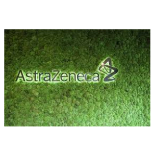 latest-news-card-1