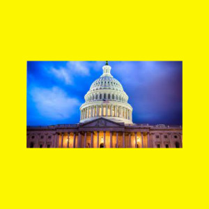 latest-news-card-1